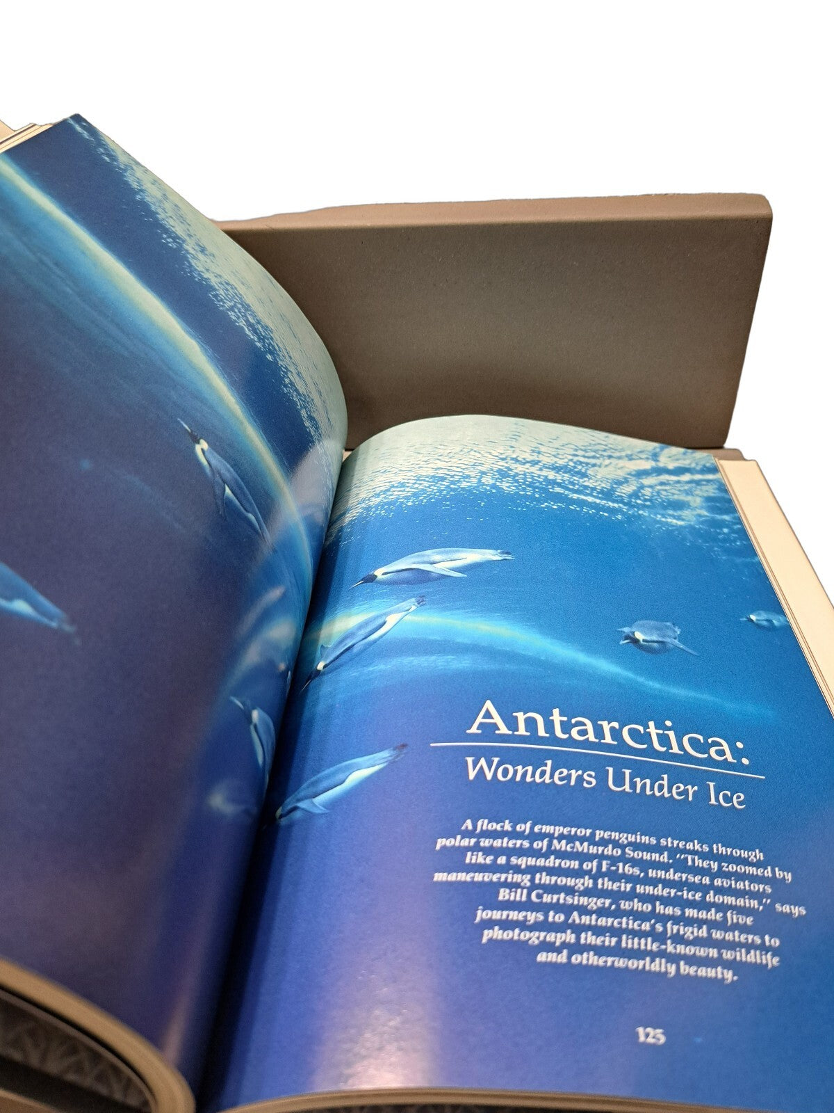 Vintage 1990 Hidden Worlds of Wildlife by National Geographic