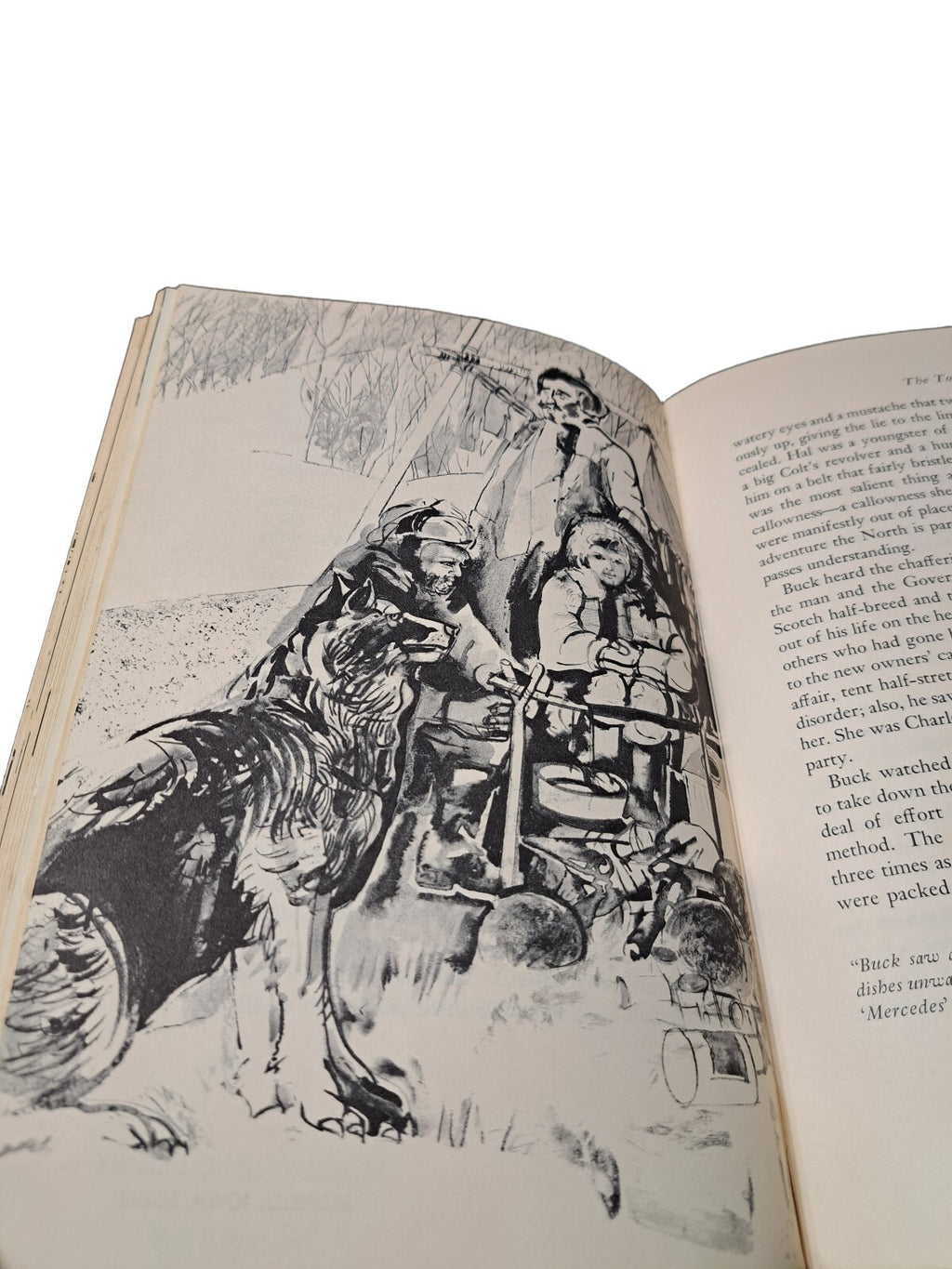 Vintage 1965 The Call of the Wild book by Jack London