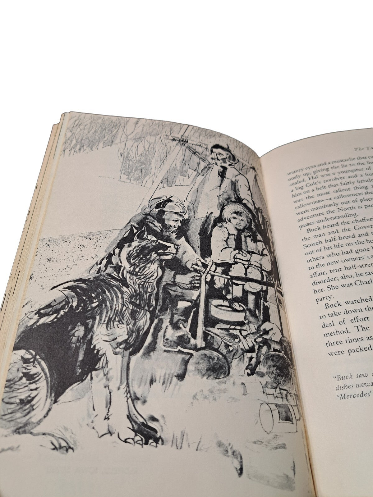 Vintage 1965 The Call of the Wild book by Jack London