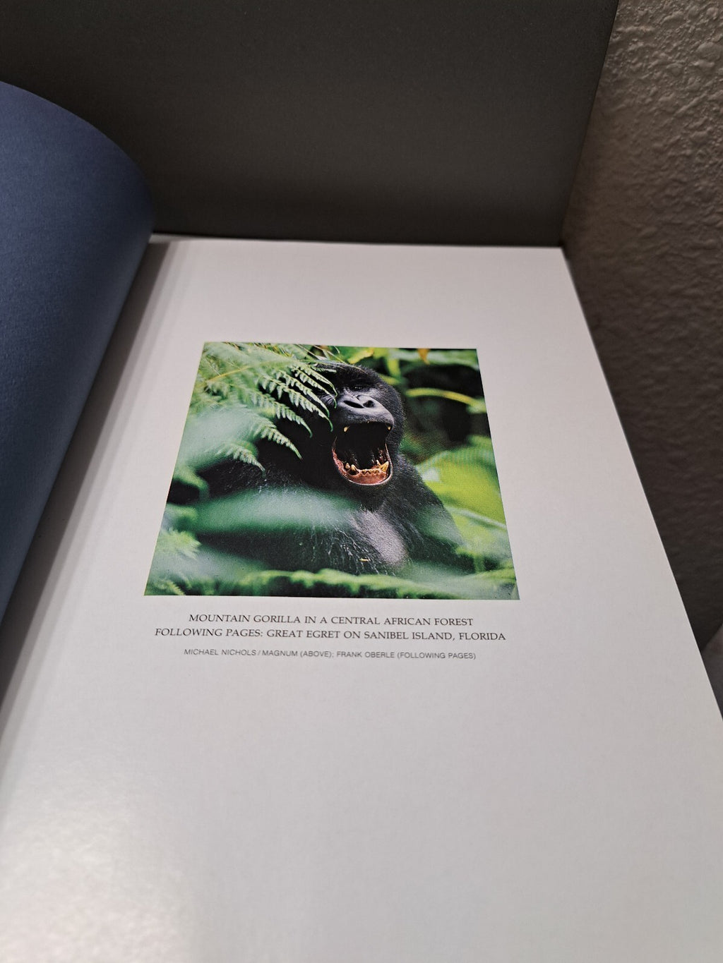 Vintage 1990 Hidden Worlds of Wildlife by National Geographic