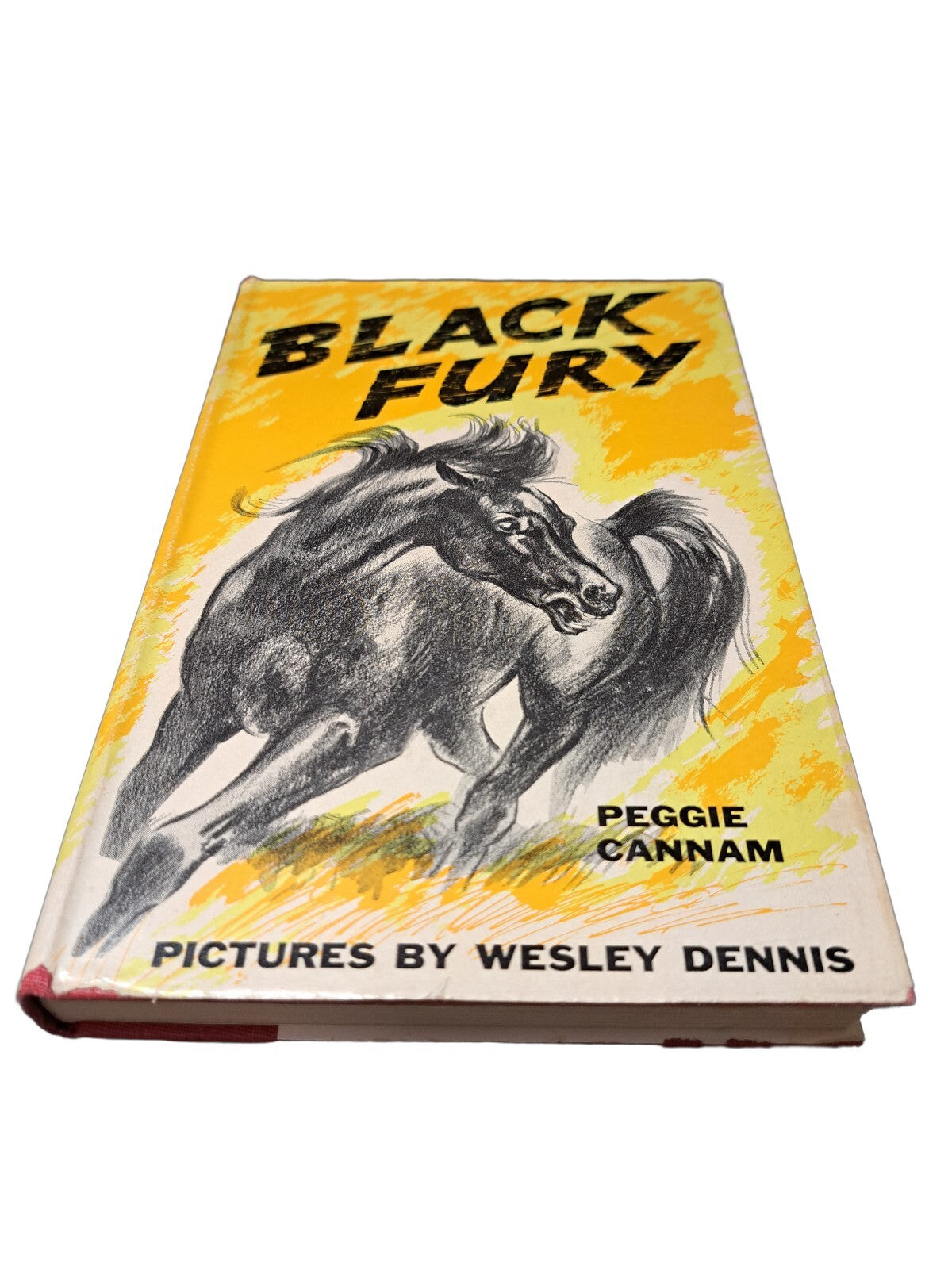 Vintage 1956 Black Fury book by Peggie Cannam