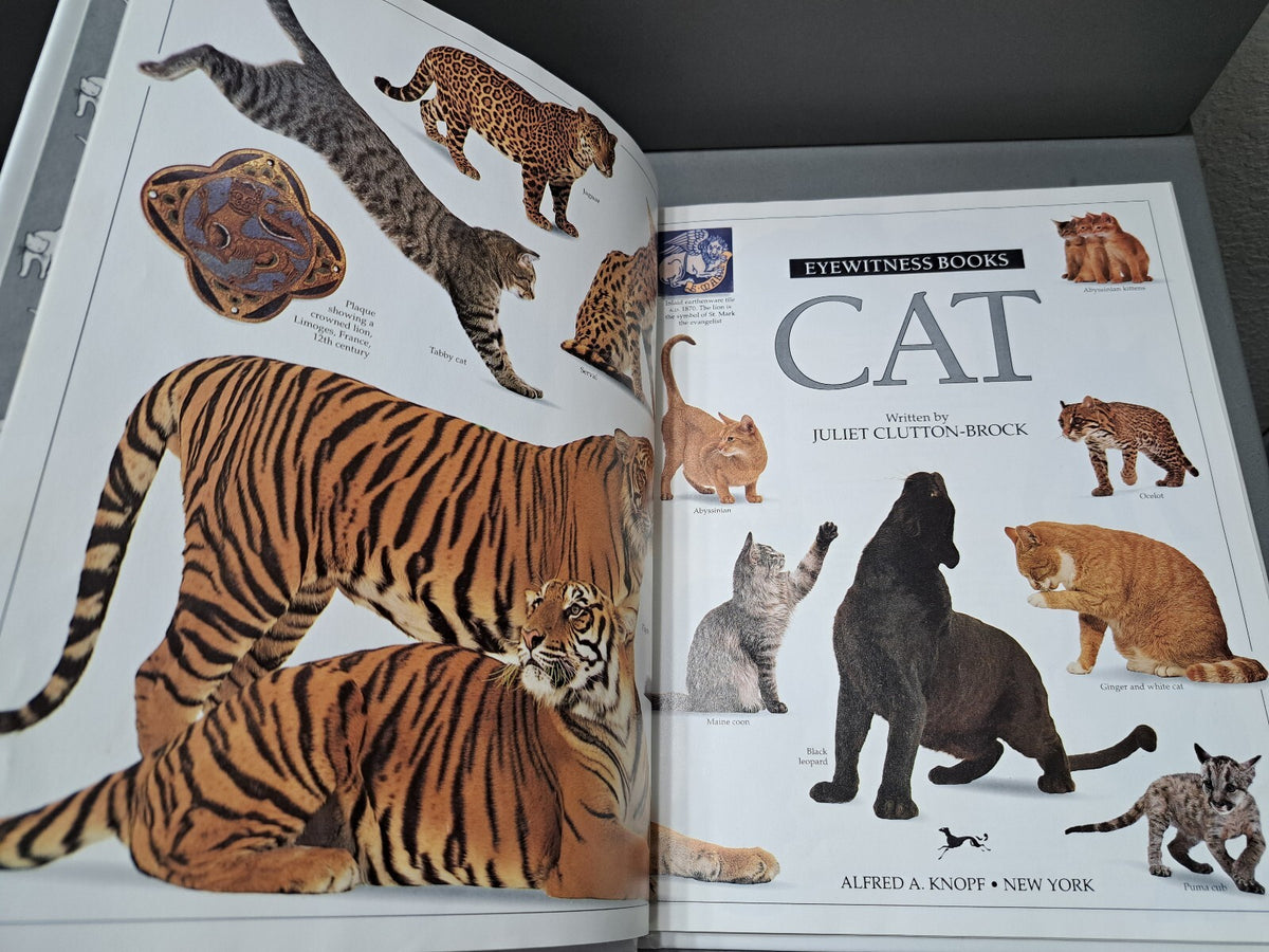 Vintage 1991 first edition of Cat by Eyewitness Books