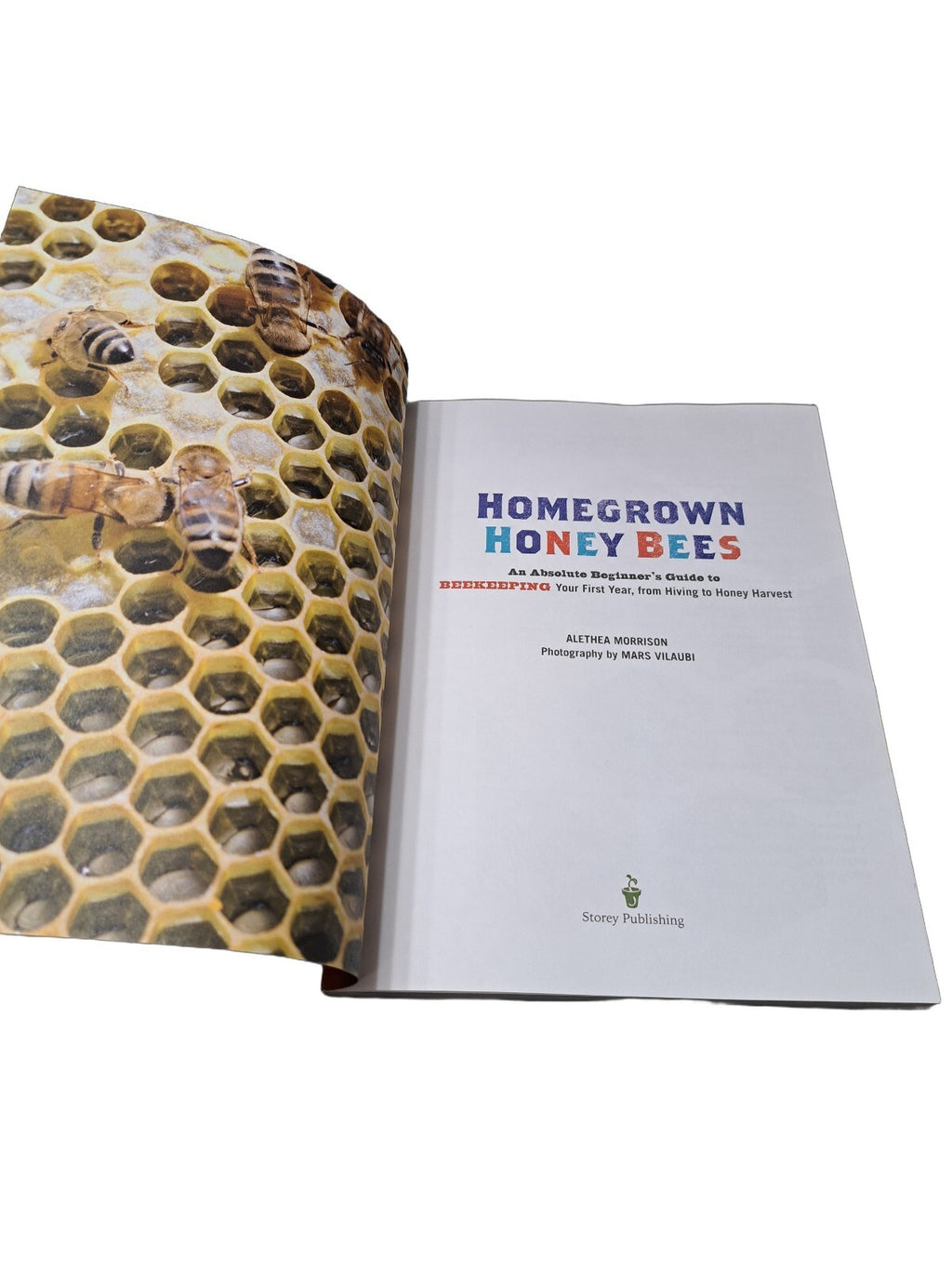 Homegrown Honey Bees by Alethea Morrison