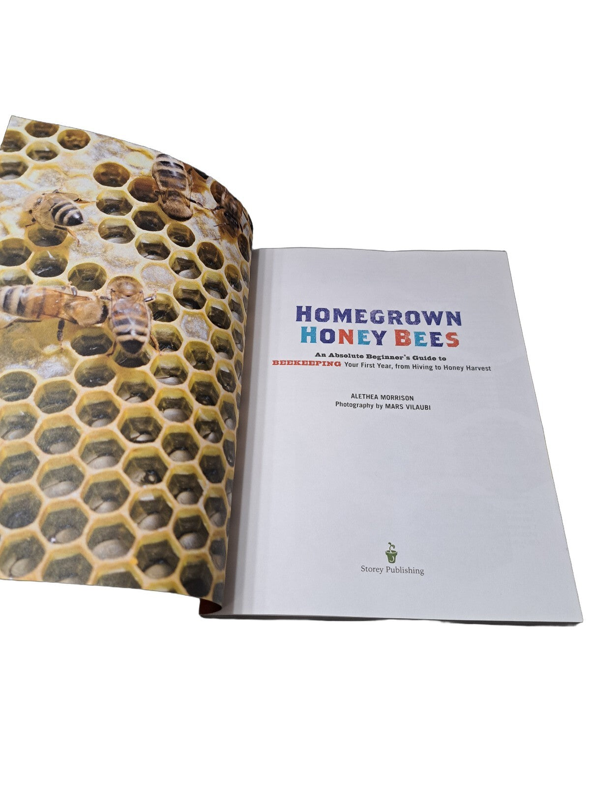 Homegrown Honey Bees by Alethea Morrison