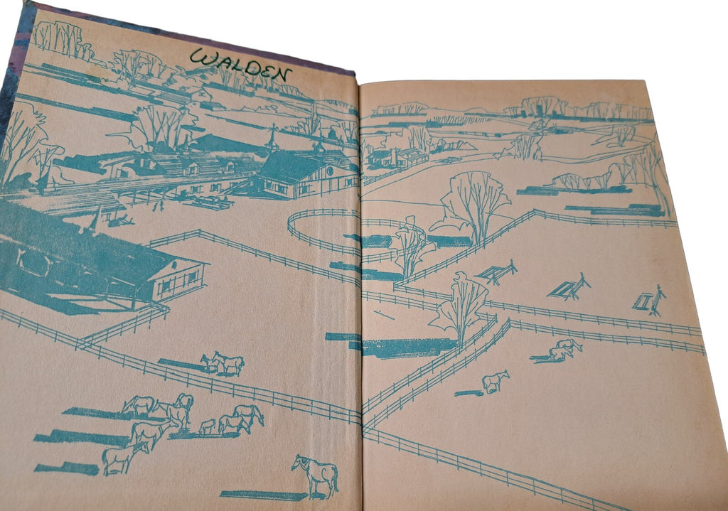 Vintage 1963 The Long Trail North book by Michael Murray