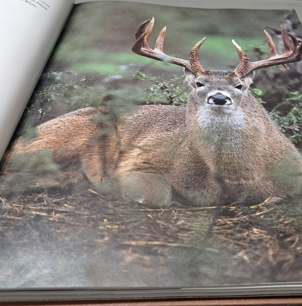 Vintage 1993 Whitetails: Behavior, Ecology, Conservation