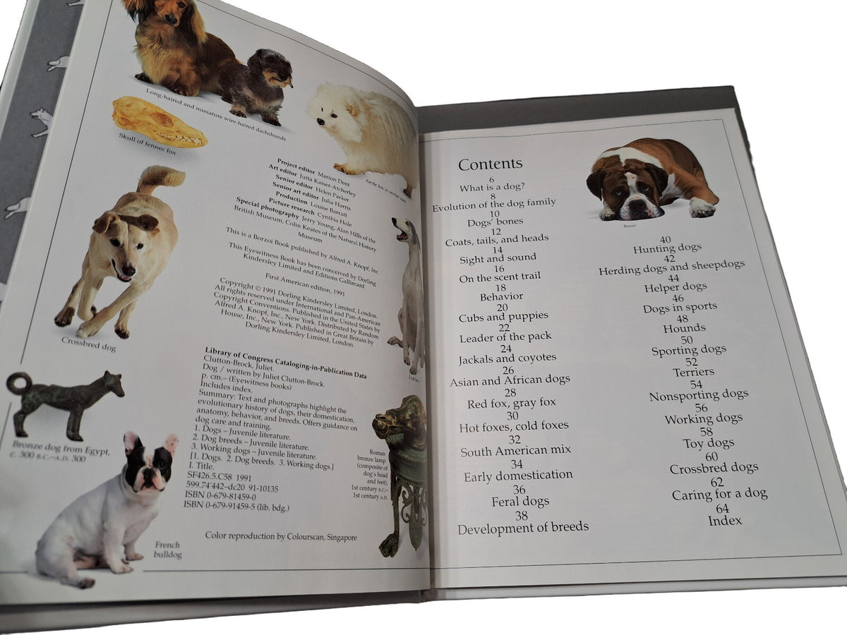 Vintage 1991 first edition of Dog by Eyewitness Books