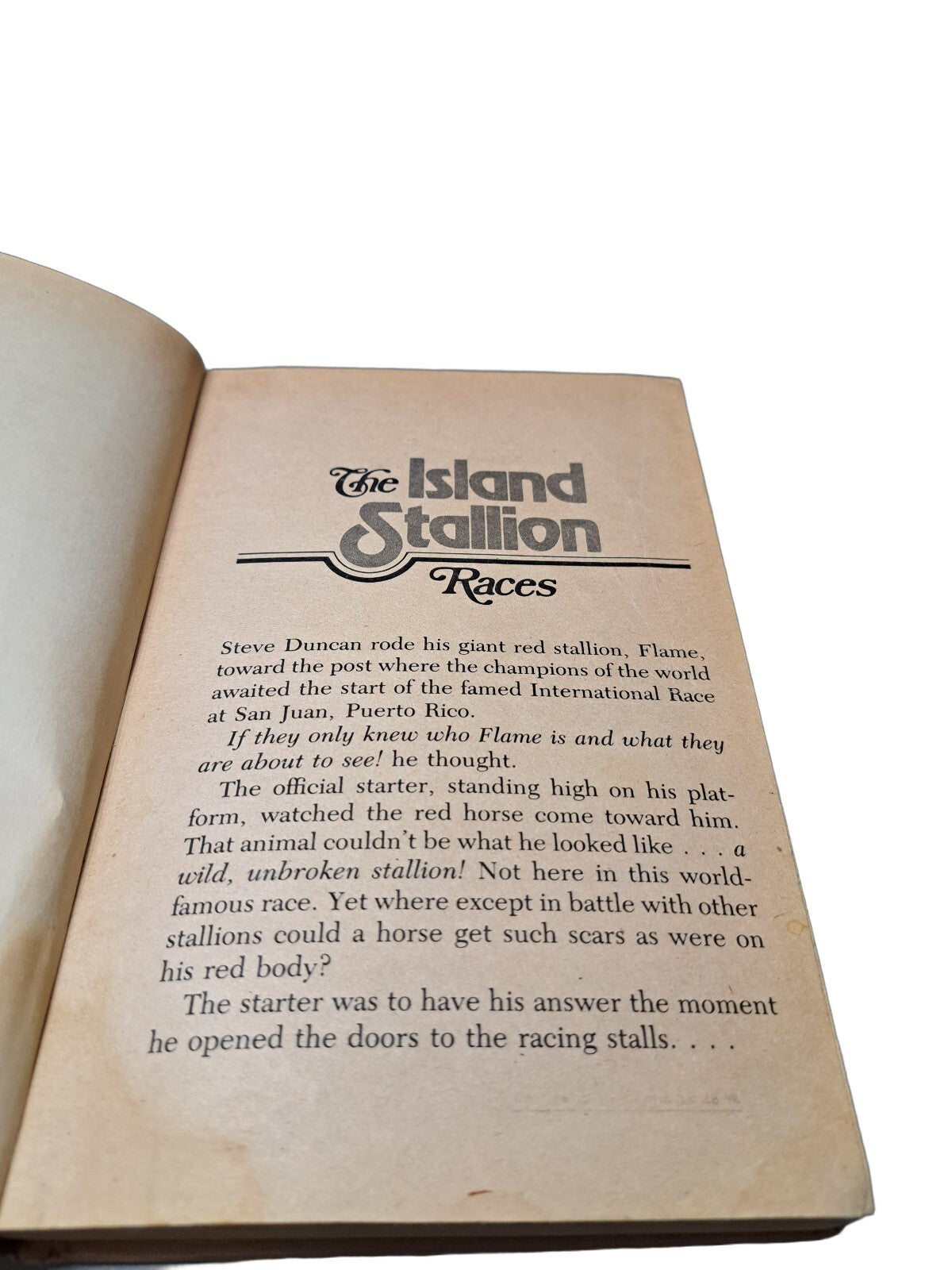 Vintage 1955 The Island Stallion Races book by Walter Farley