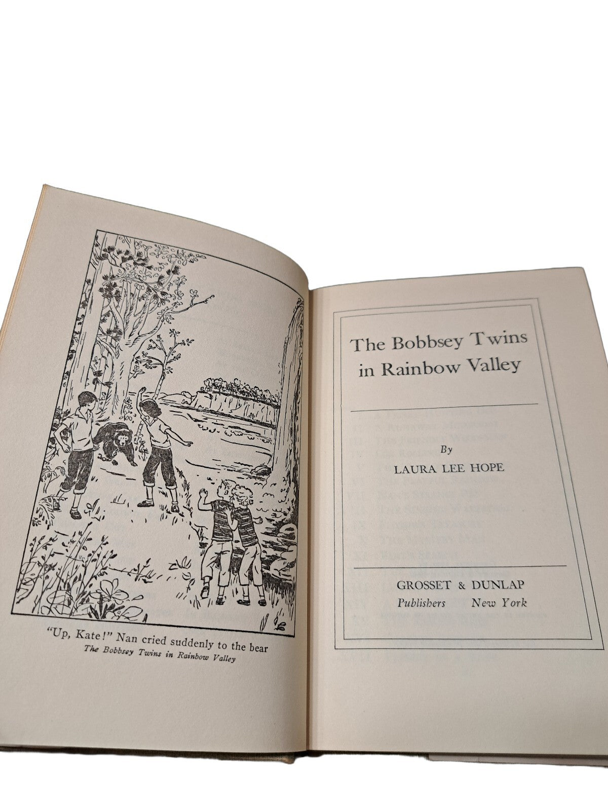 Vintage 1950 first edition of The Bobbsey Twins in Rainbow Valley book by Laura Lee Hope