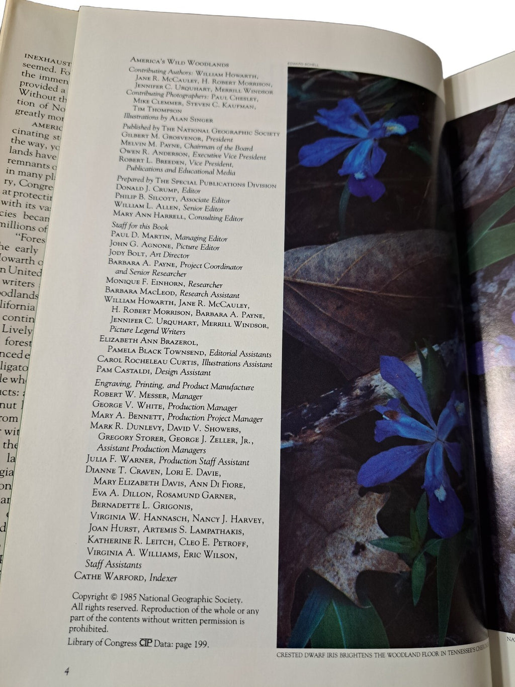 Vintage 1985 America's Wild Woodlands by the National Geographic Society