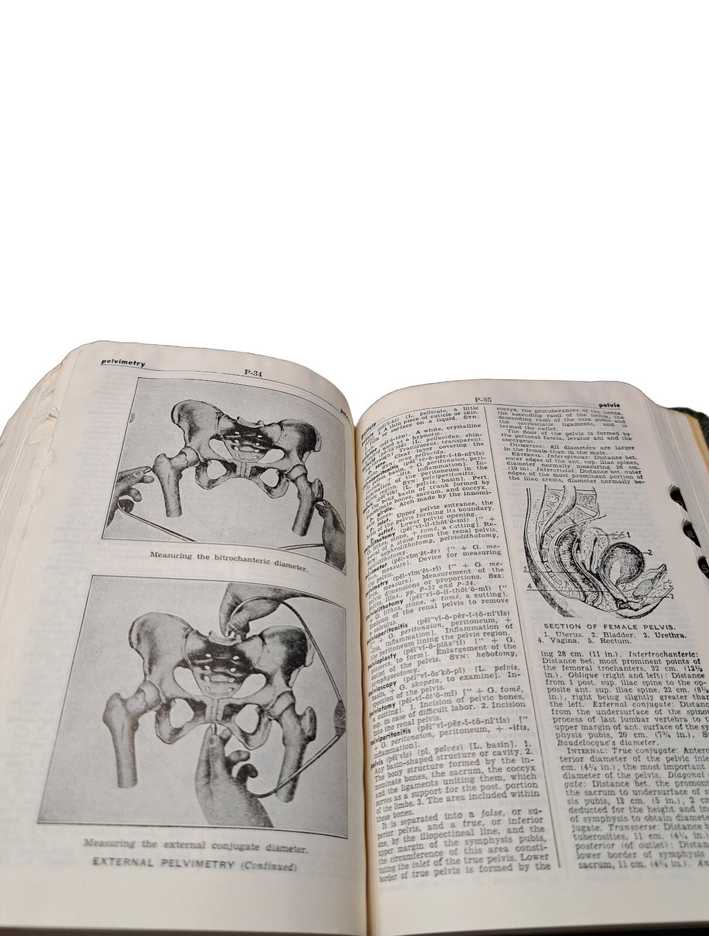Vintage 1946 Taber's Cyclopedic Medical Dictionary