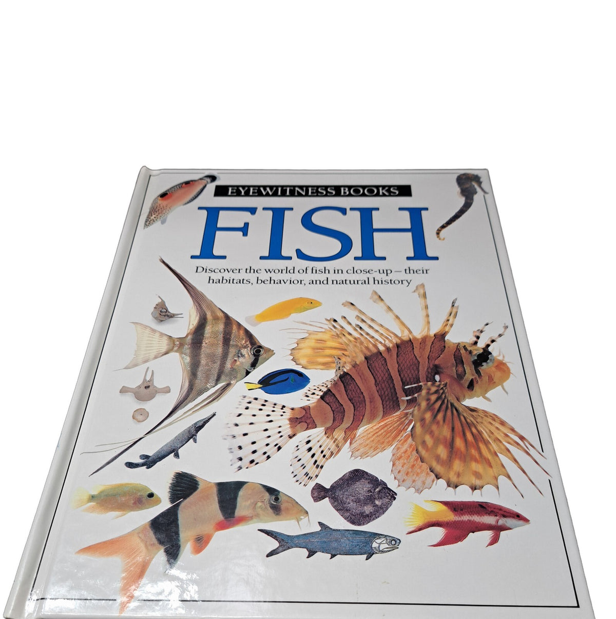 Vintage 1990 first edition of Fish by Eyewitness Books