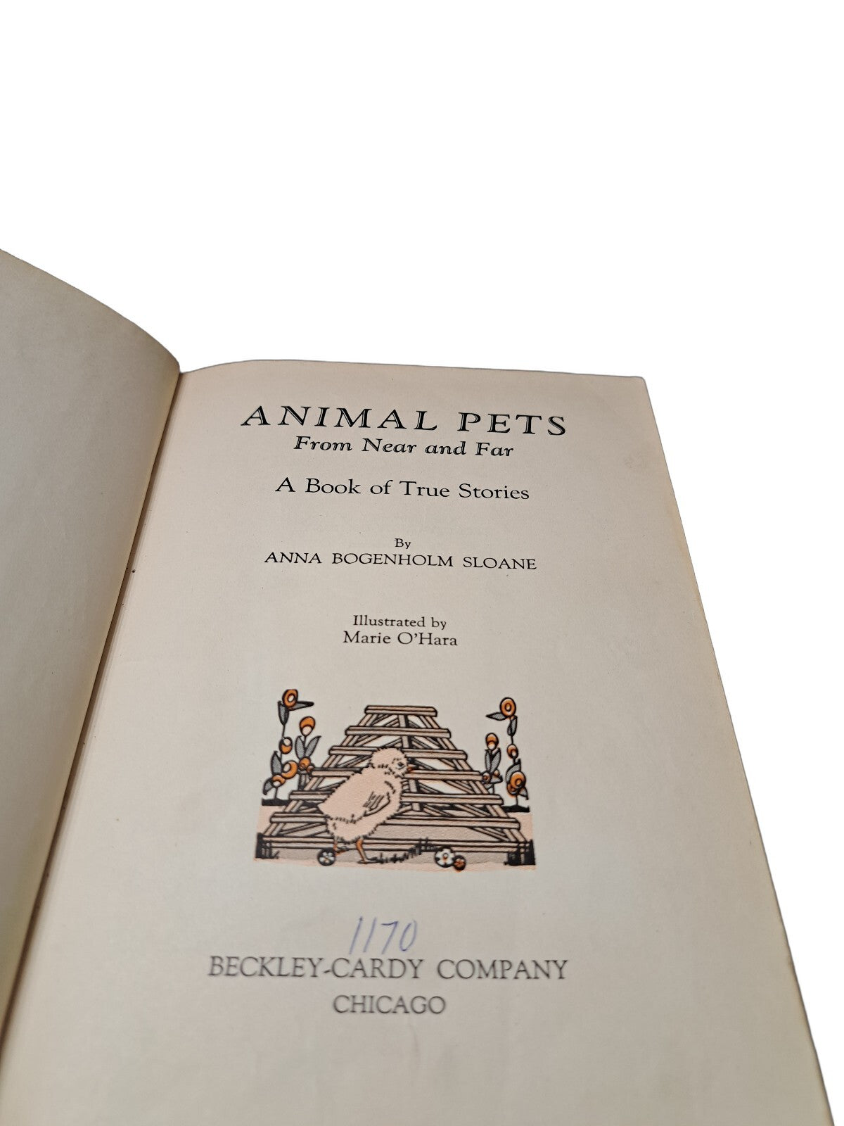 Vintage 1927 Animal Pets From Near and Far book by Anna Bogenholm Sloane