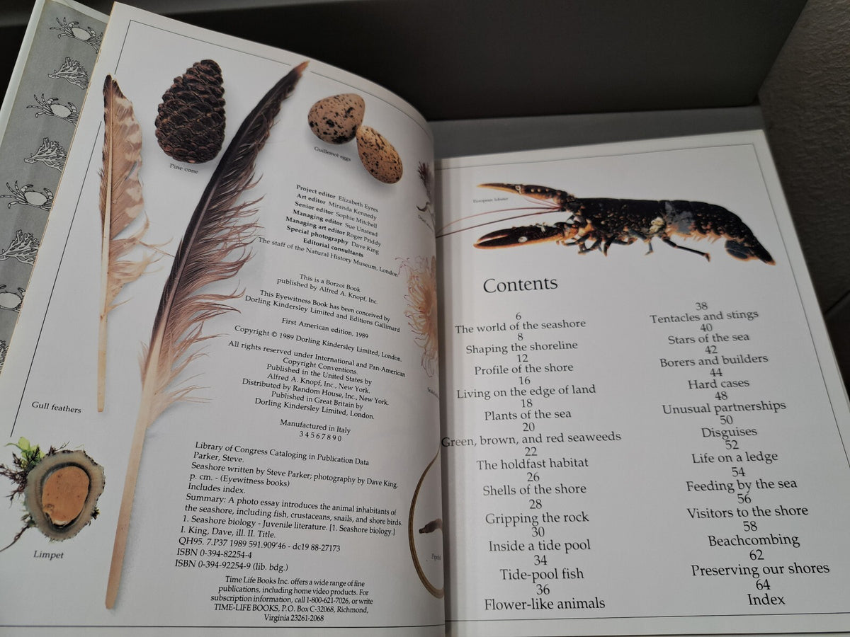 Vintage 1989 first edition of Seashore by Eyewitness Books