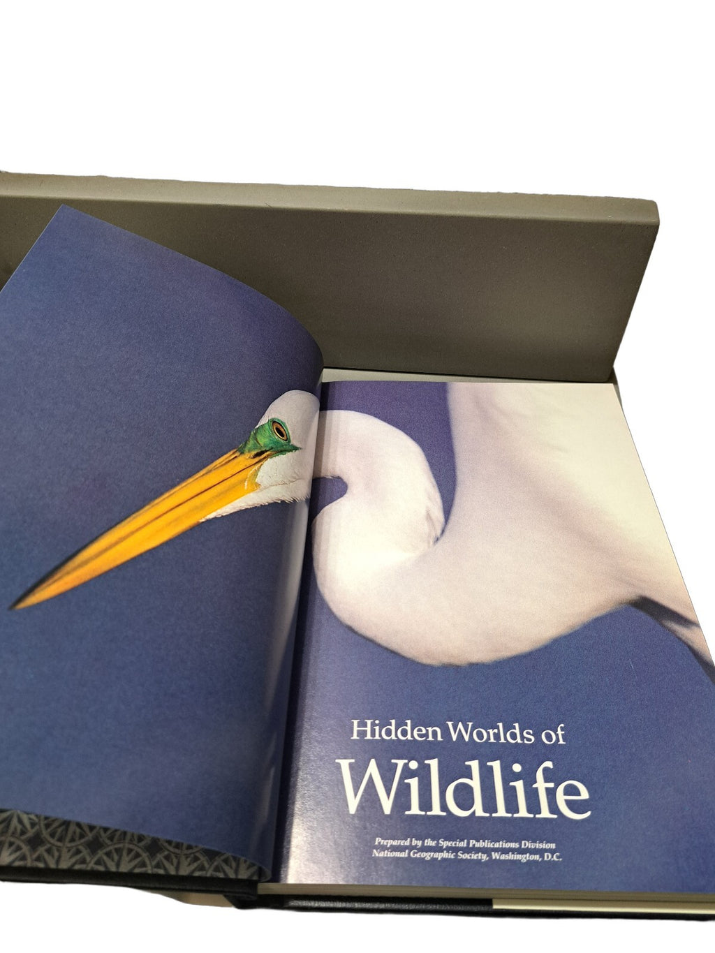 Vintage 1990 Hidden Worlds of Wildlife by National Geographic