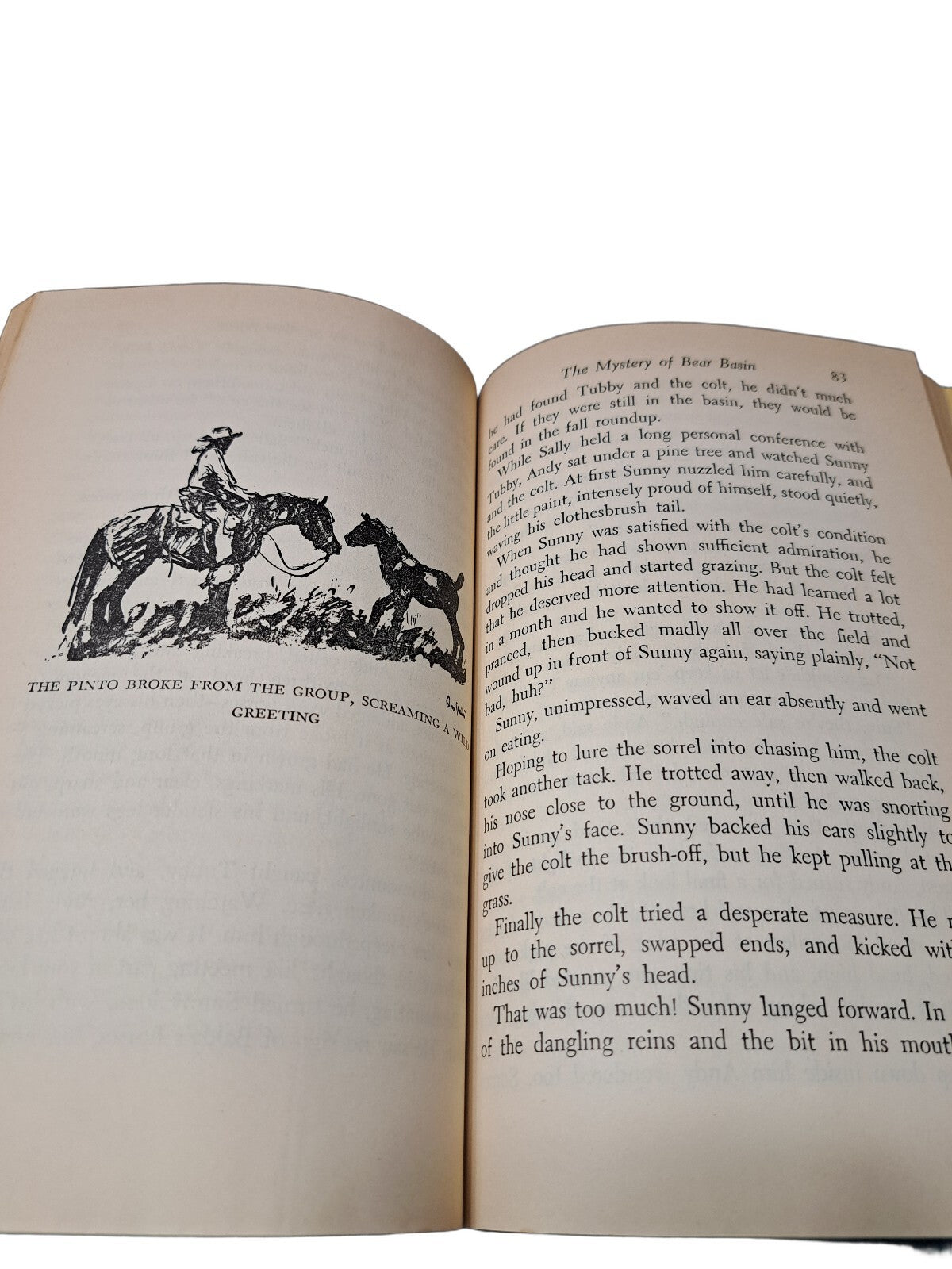 Vintage 1947 Mountain Pony and the Pinto Colt book by Henry V Larom