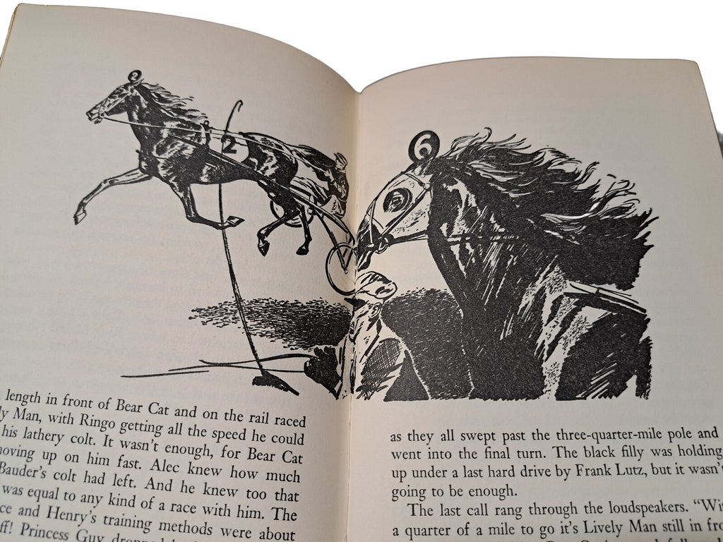 Vintage 1954 The Black Stallion's Sulky Colt book by Walter Farley