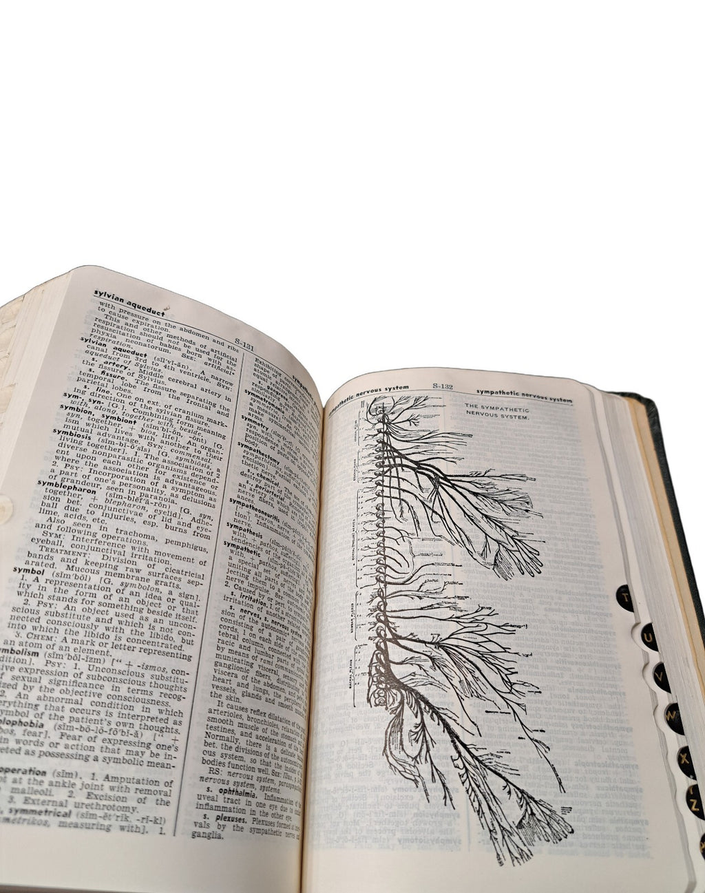 Vintage 1946 Taber's Cyclopedic Medical Dictionary