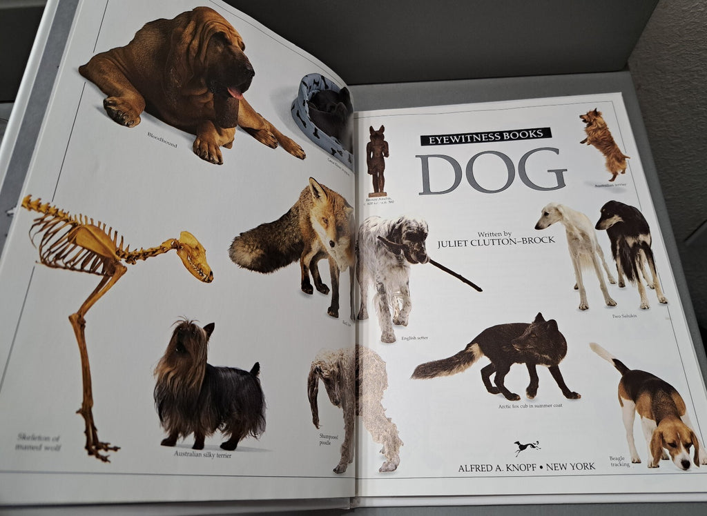 Vintage 1991 first edition of Dog by Eyewitness Books