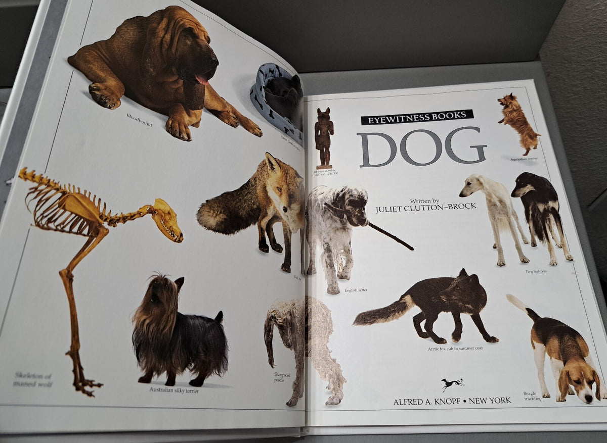 Vintage 1991 first edition of Dog by Eyewitness Books