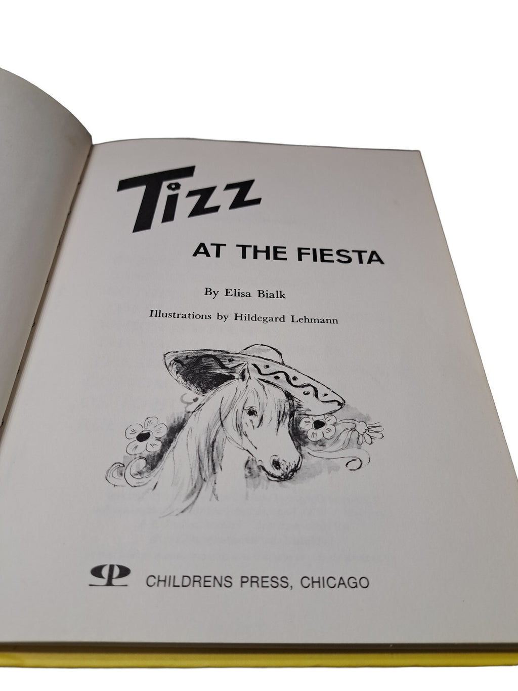 Vintage 1970 Tizz at the Fiesta by Elisa Bialk