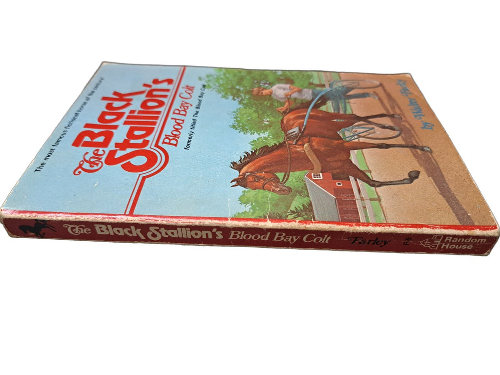 Vintage 1950 The Black Stallion's Blood Bay Colt book by Walter Farley