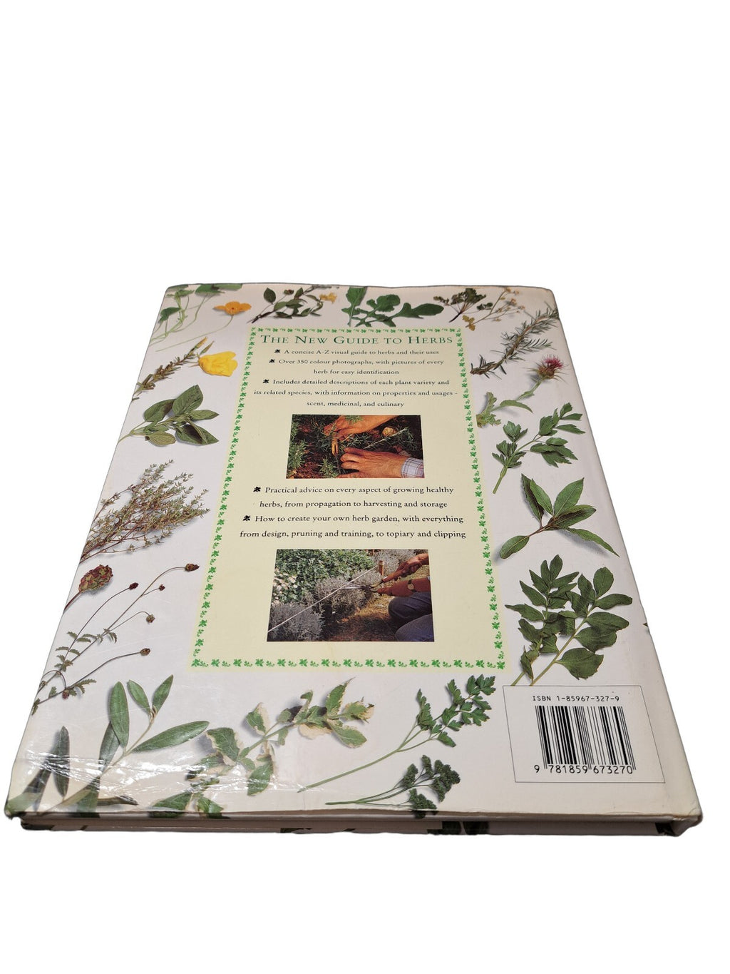 Vintage 1995 The New Guide to Herbs book by Andi Clevely