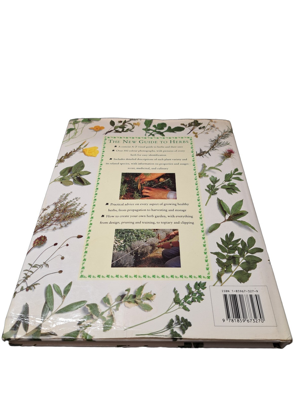 Vintage 1995 The New Guide to Herbs book by Andi Clevely