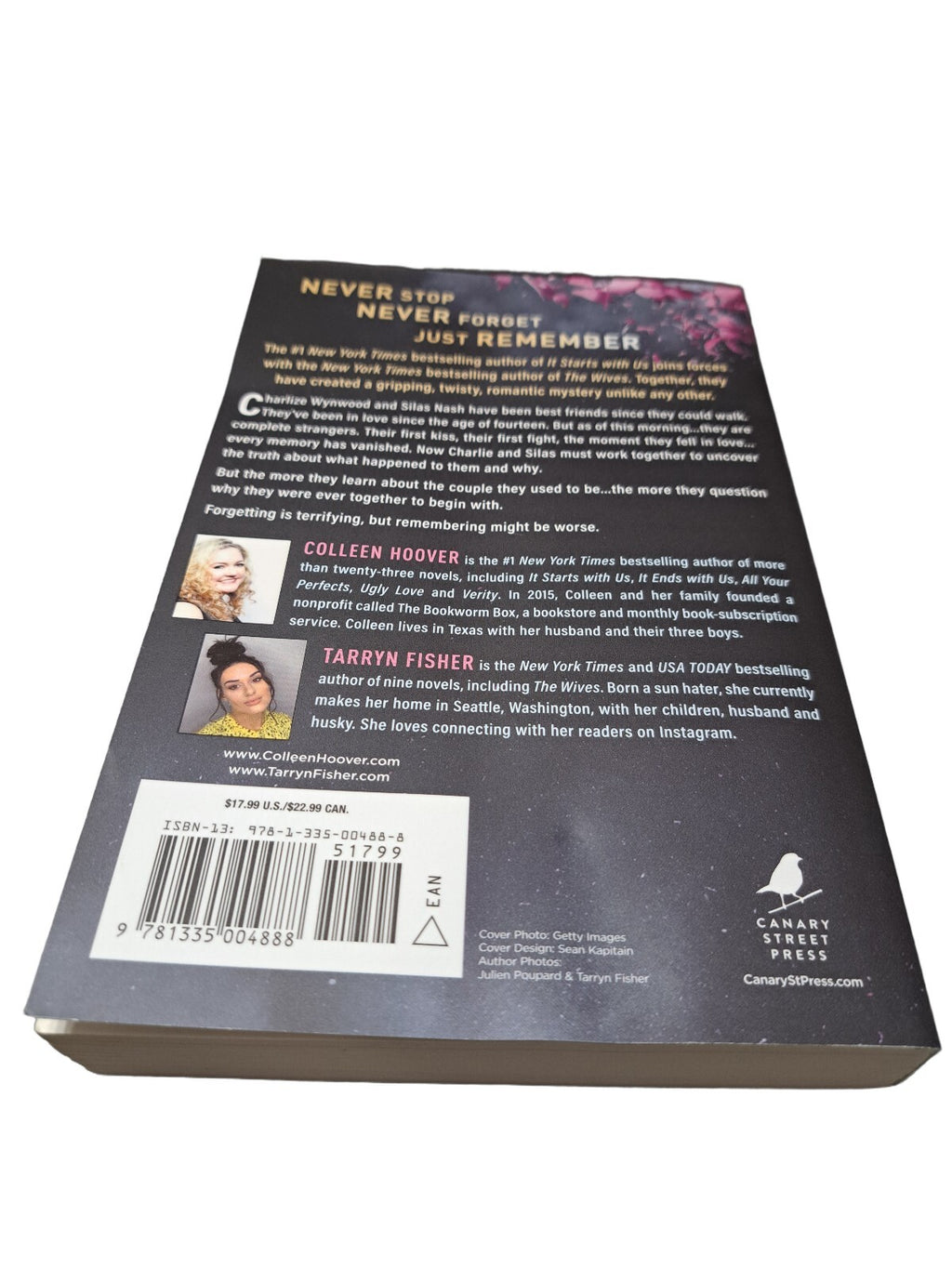 2023 Never Never by Colleen Hoover and Tarryn Fisher