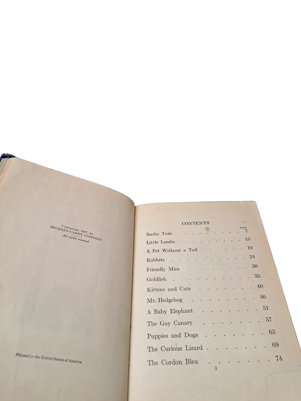 Vintage 1927 Animal Pets From Near and Far book by Anna Bogenholm Sloane