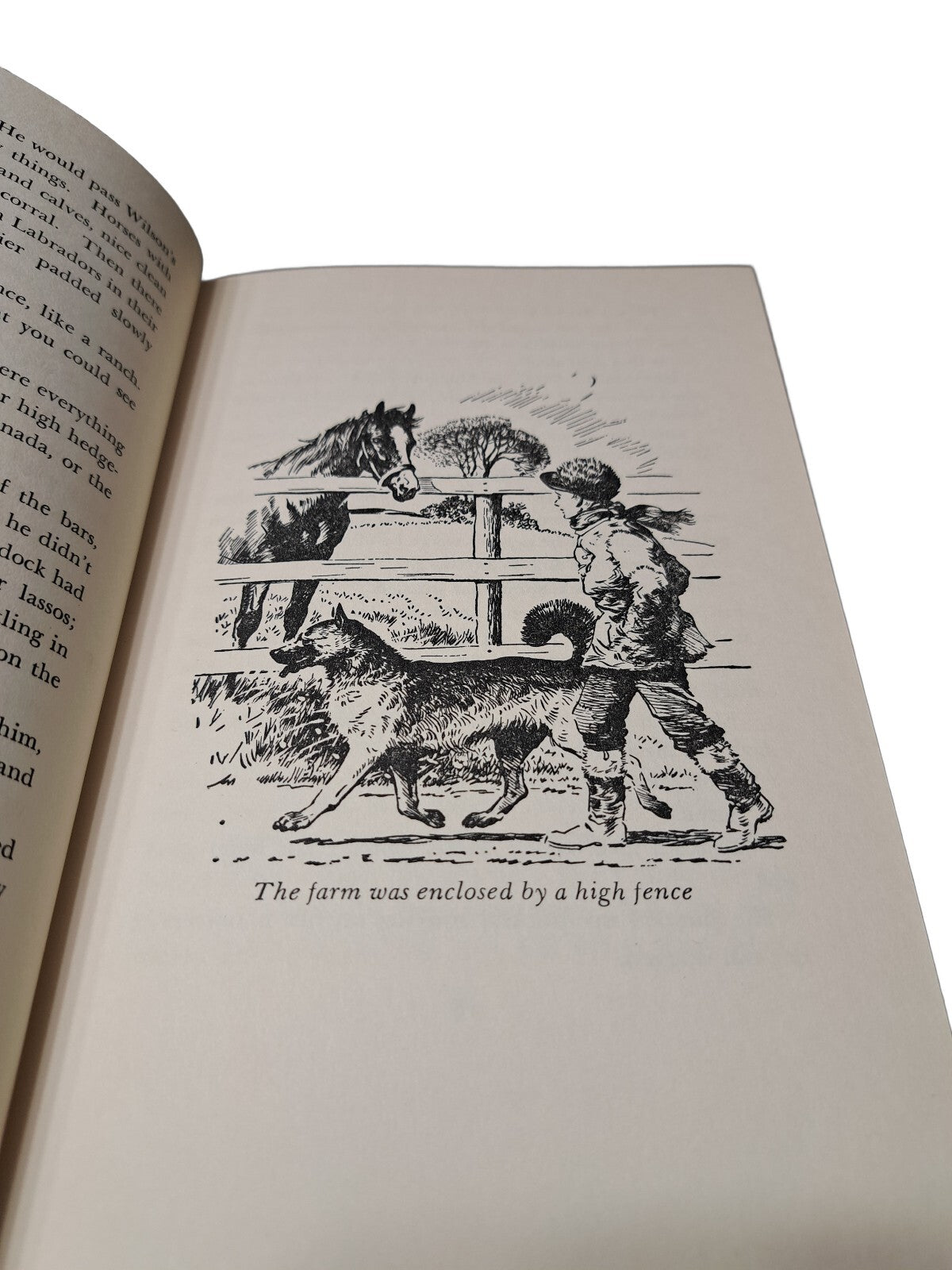 Vintage 1956 Black Fury book by Peggie Cannam