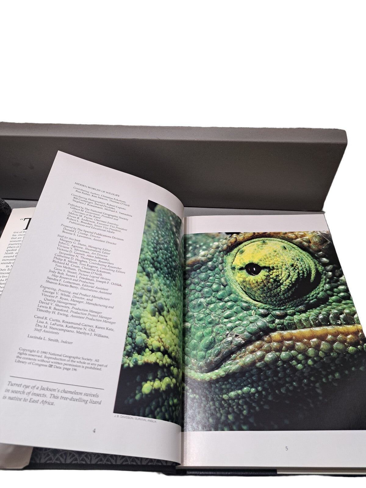 Vintage 1990 Hidden Worlds of Wildlife by National Geographic