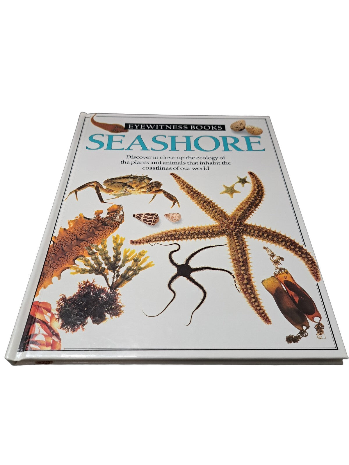 Vintage 1989 first edition of Seashore by Eyewitness Books