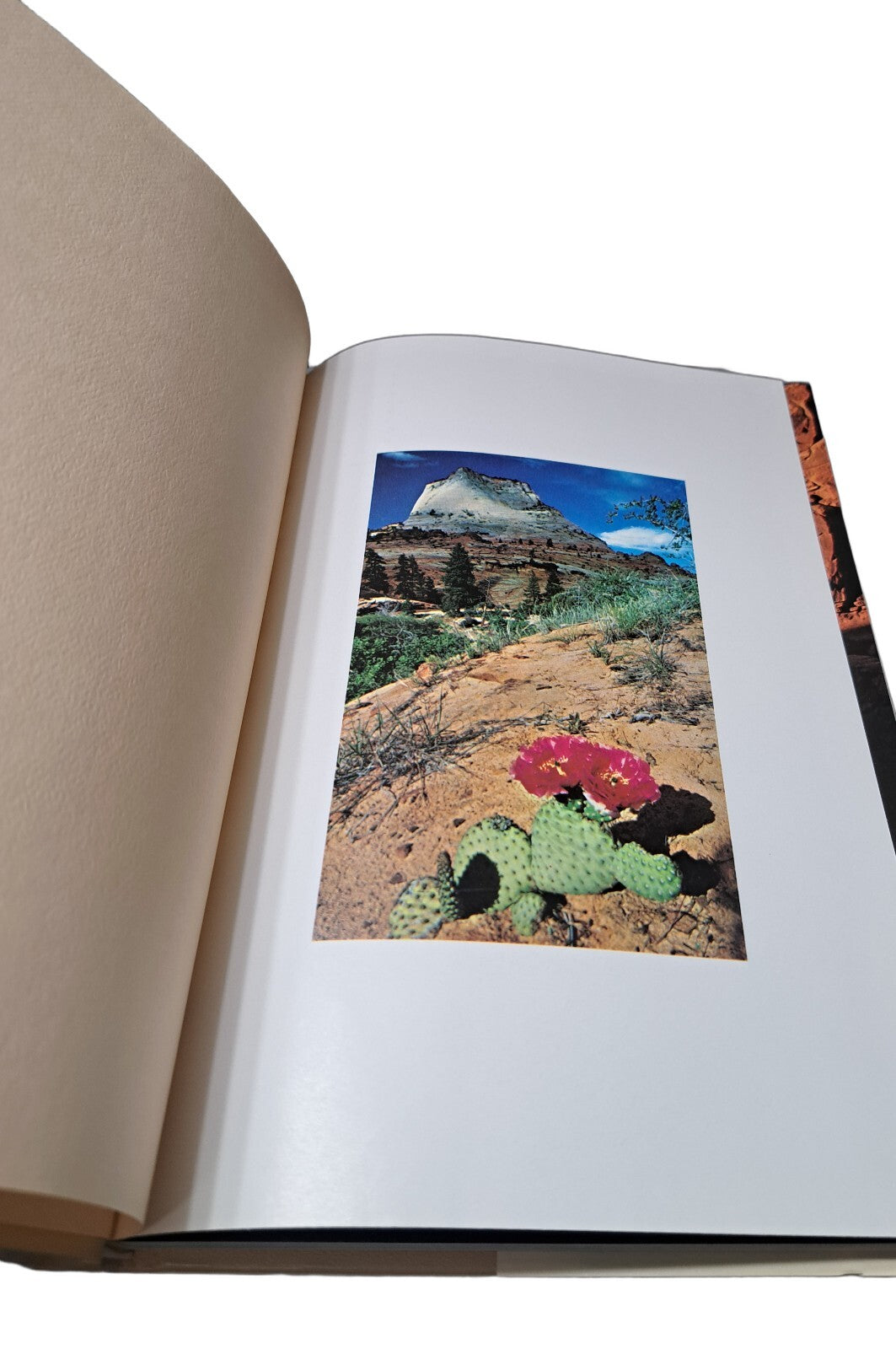 Vintage 1980 The Great Southwest by Charles McCarby