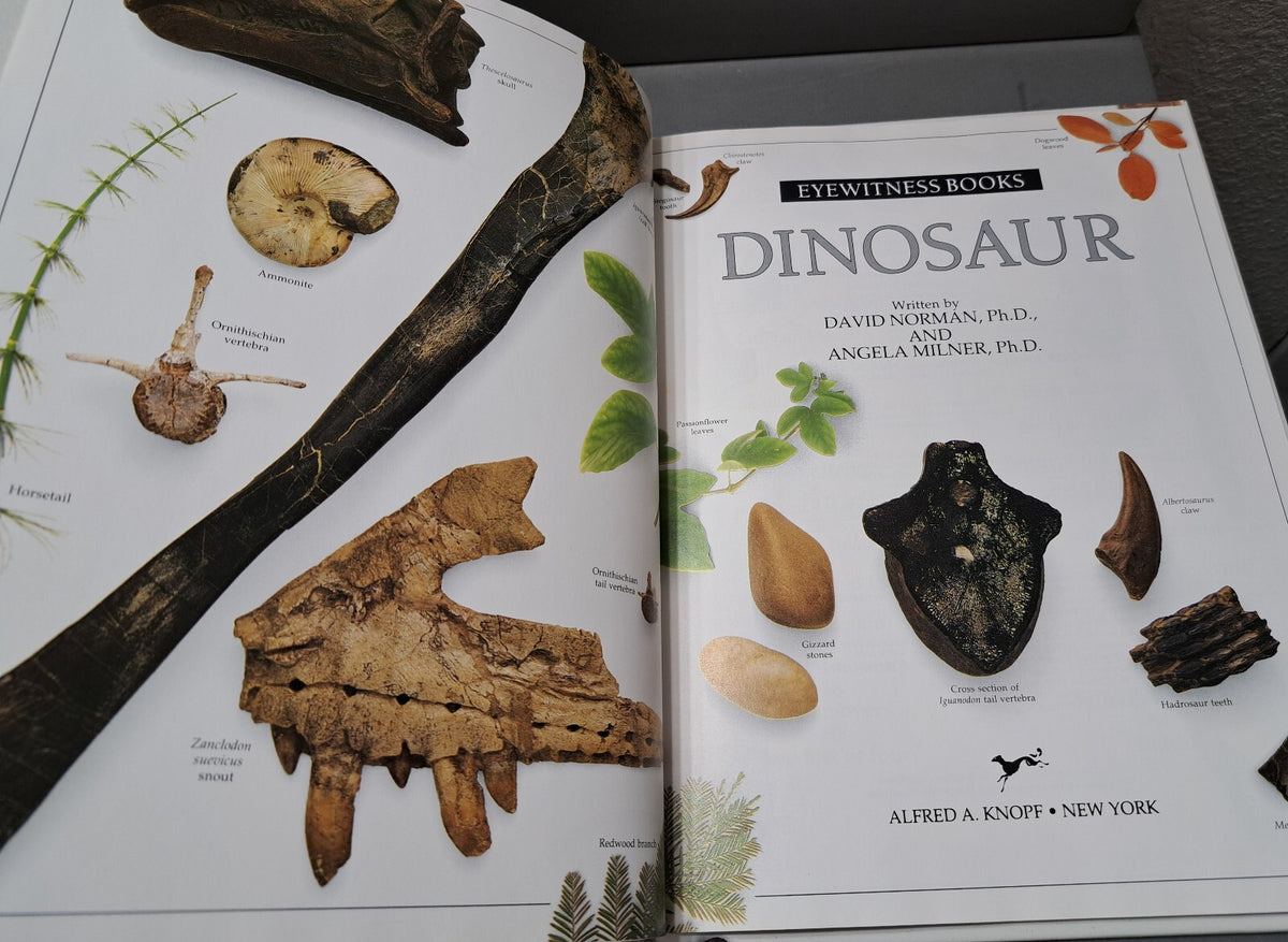 Vintage 1989 first edition of Dinosaur by Eyewitness Books