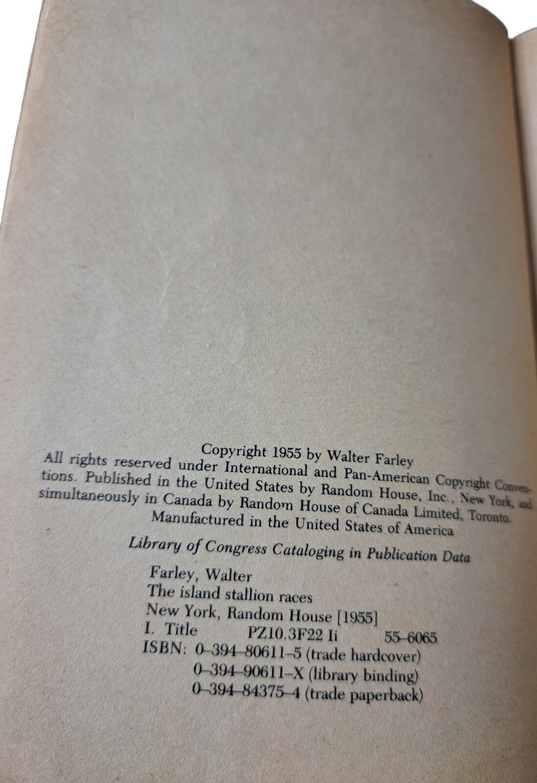 Vintage 1955 The Island Stallion Races book by Walter Farley
