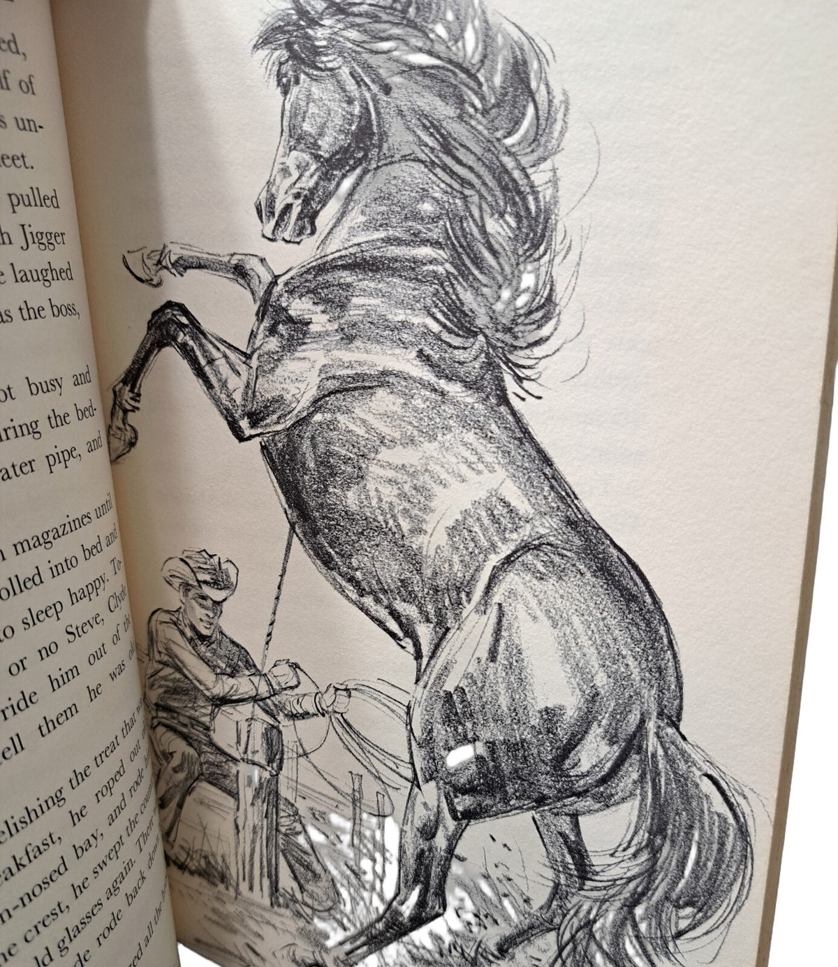Vintage 1963 The Boys' Life Book of Horse Stories
