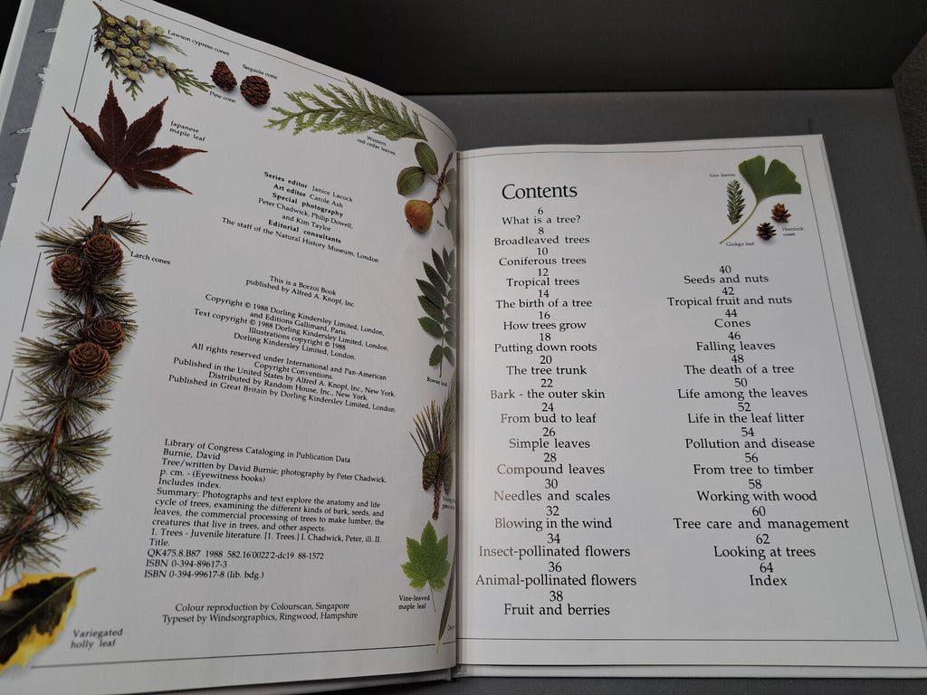 Vintage 1988 first edition of Tree by Eyewitness Books