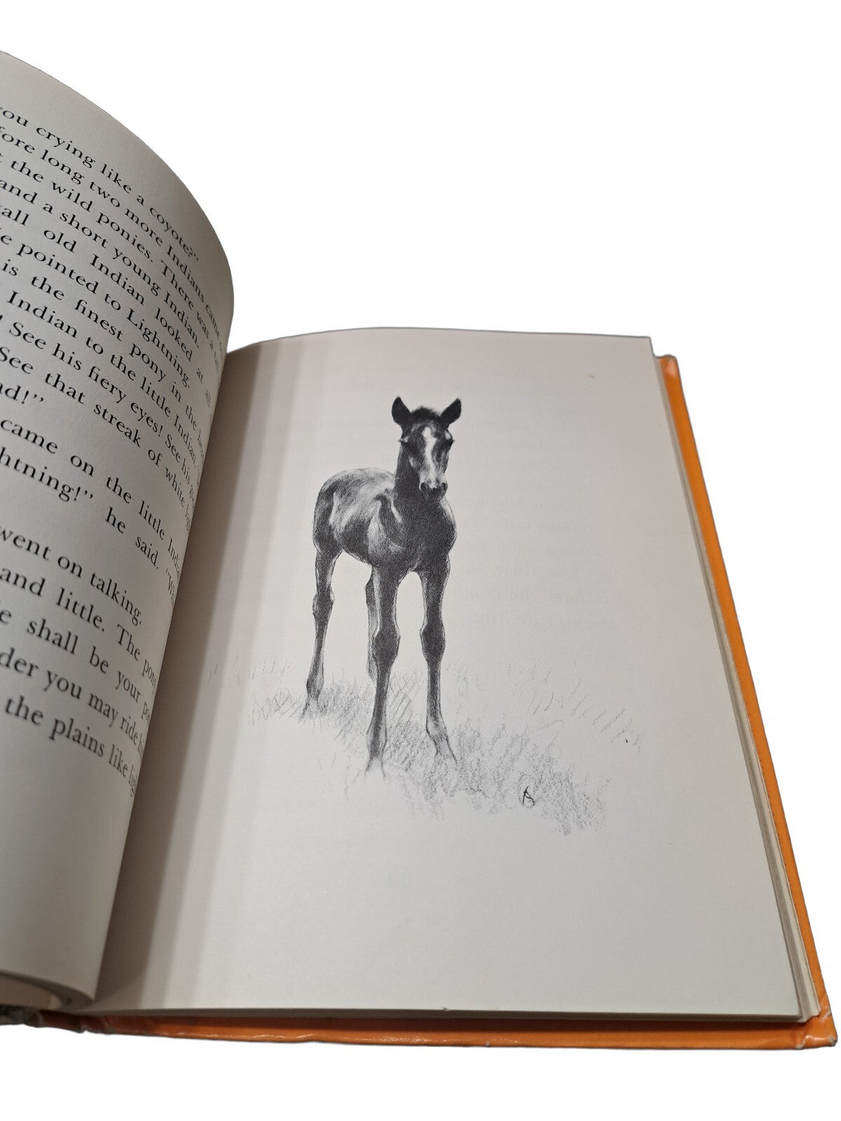 Vintage 1969 A Pony Called Lightning by Miriam E Mason