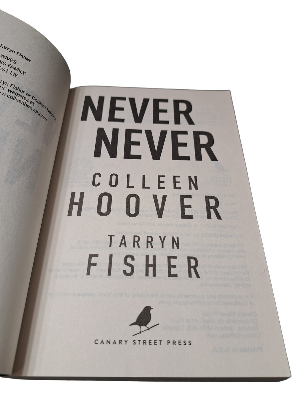 2023 Never Never by Colleen Hoover and Tarryn Fisher