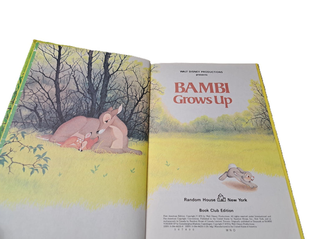 Vintage 1979 Walt Disney's Bambi Grows Up book