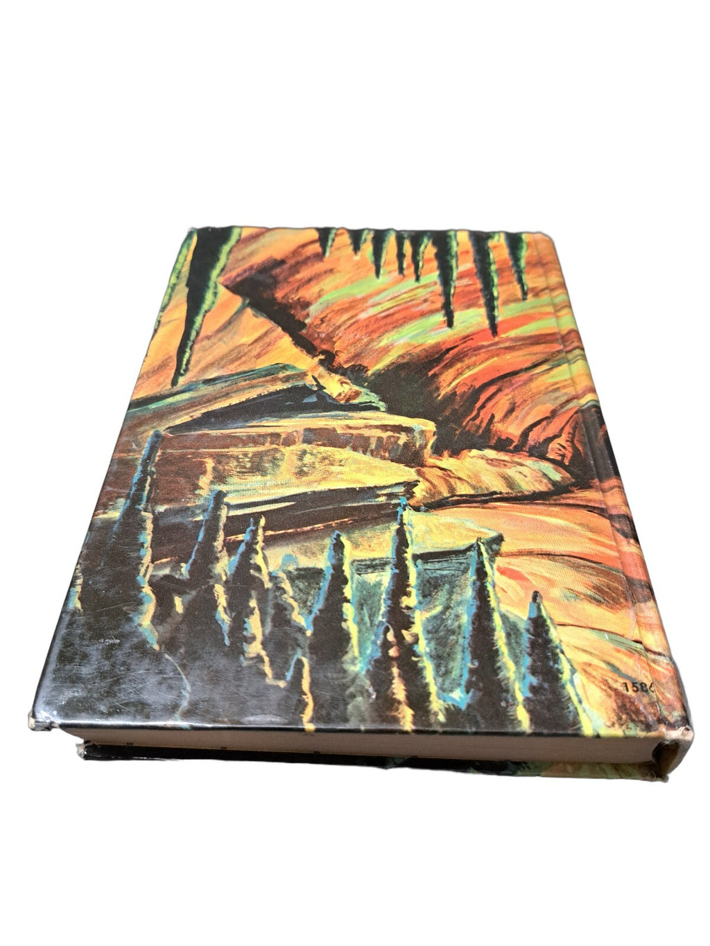 Vintage 1964 The Diamond Cave Mystery book by Troy Nesbit