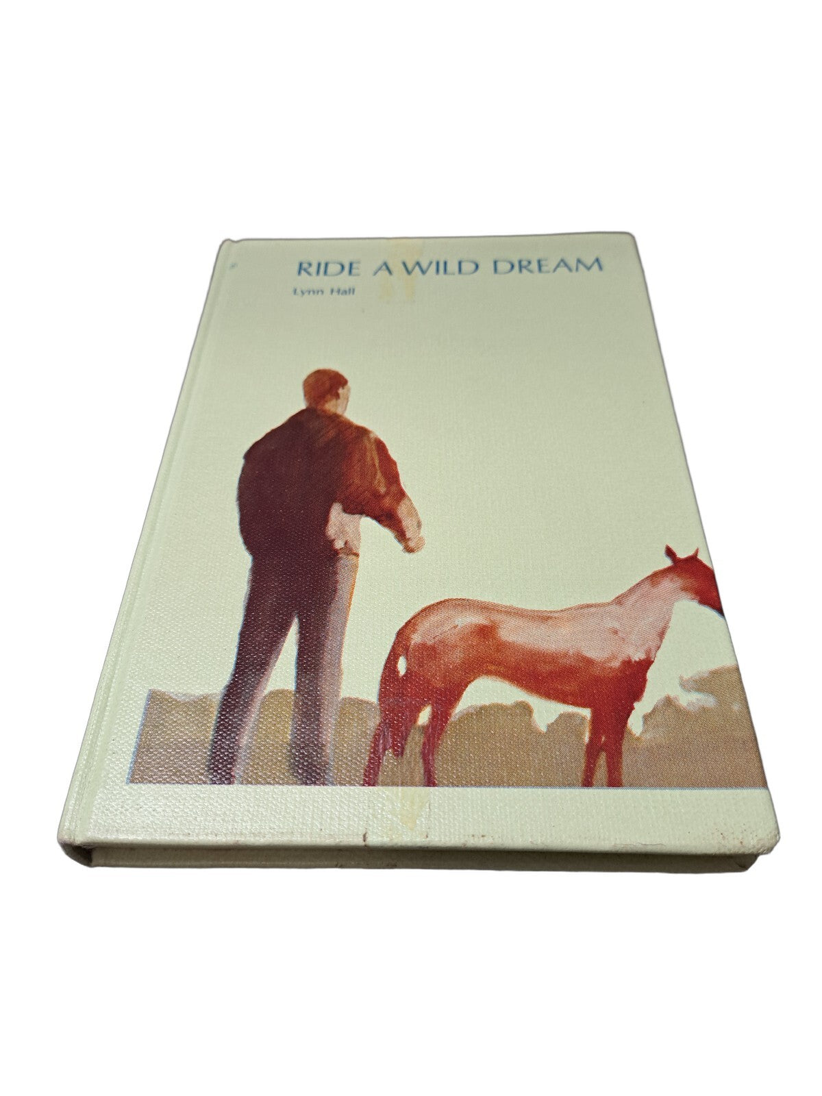 Vintage 1969 Ride a Wild Dream by Lynn Hall, illustrated by George Roth