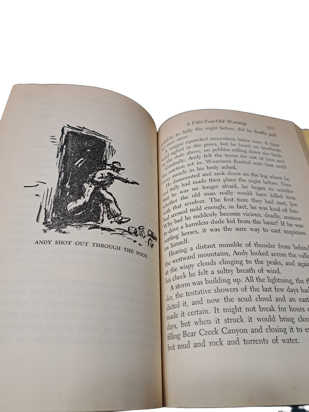 Vintage 1947 Mountain Pony and the Pinto Colt book by Henry V Larom