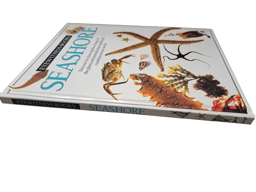 Vintage 1989 first edition of Seashore by Eyewitness Books