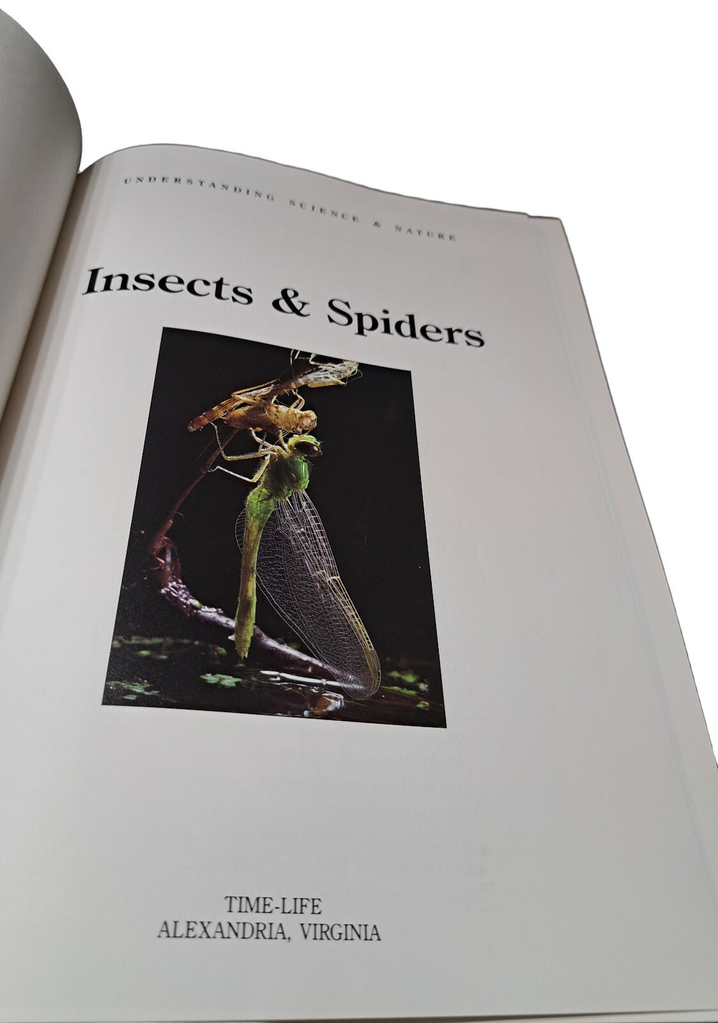 Vintage 1992 Understanding Science & Nature: Insects & Spiders by Time Life