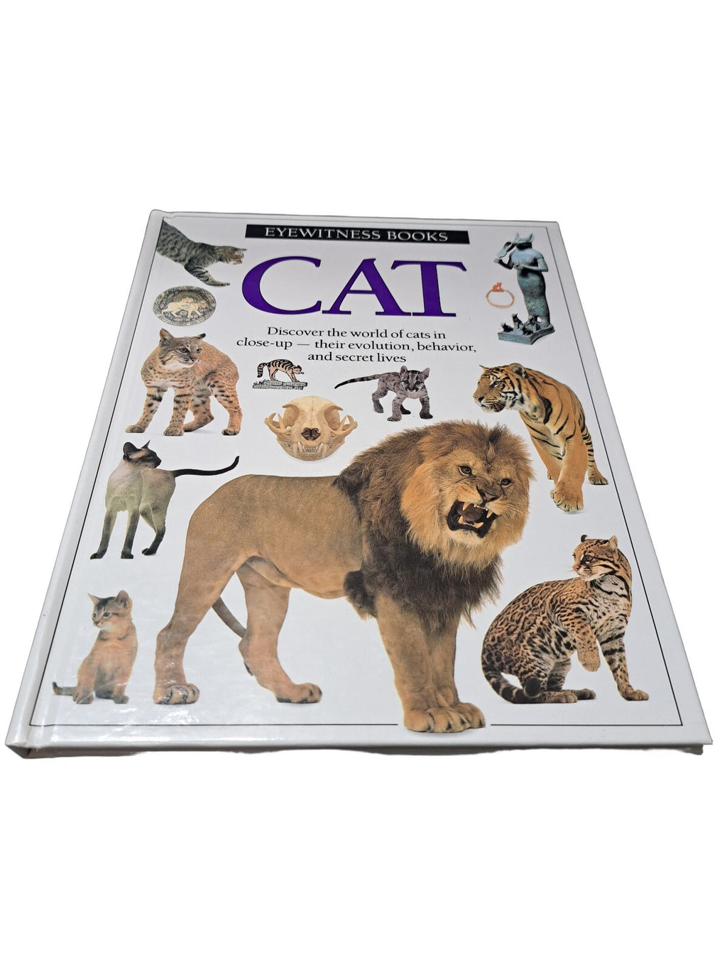 Vintage 1991 first edition of Cat by Eyewitness Books