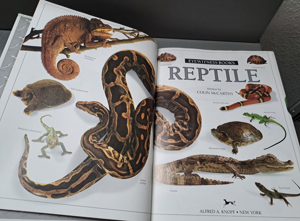 Vintage 1991 first edition of Reptile by Eyewitness Books