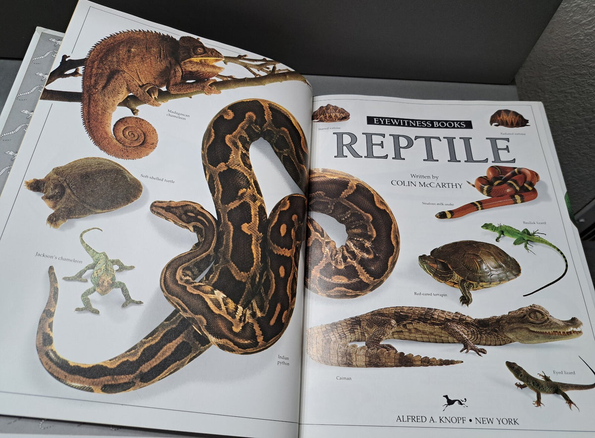 Vintage 1991 first edition of Reptile by Eyewitness Books