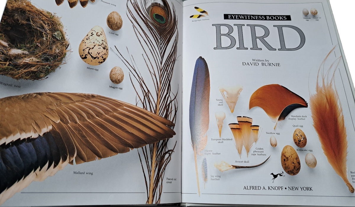 Vintage 1988 first edition of Bird by Eyewitness Books